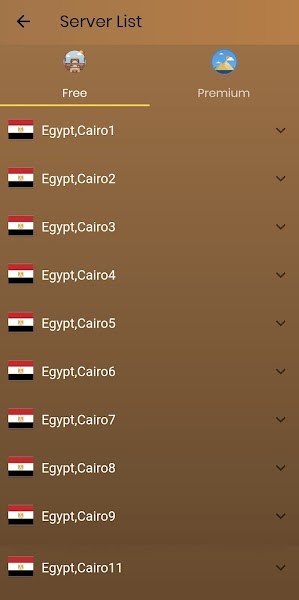 Egypt VPN Mod APK