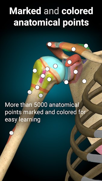 Anatomy Learning Mod APK