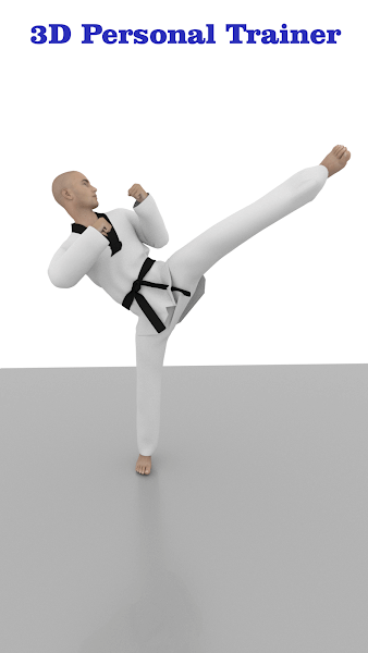 Taekwondo Workout Mod APK