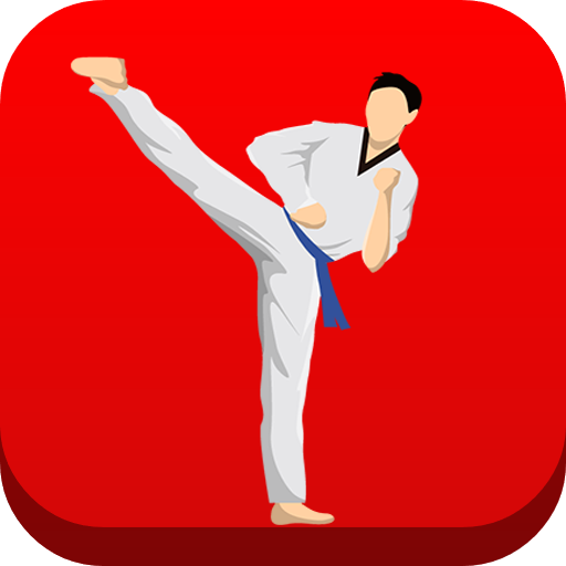 Taekwondo Workout