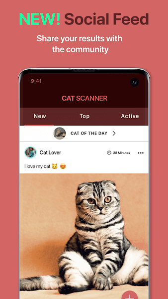 Cat Scanner Mod APK