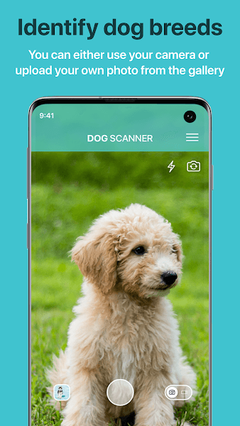 Dog Scanner Mod APK